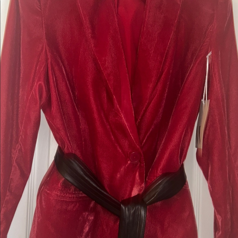 Velour blazer - Picture 2 of 5